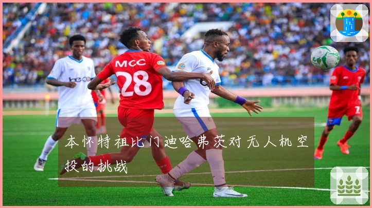 本怀特祖比门迪哈弗茨对无人机空投的挑战