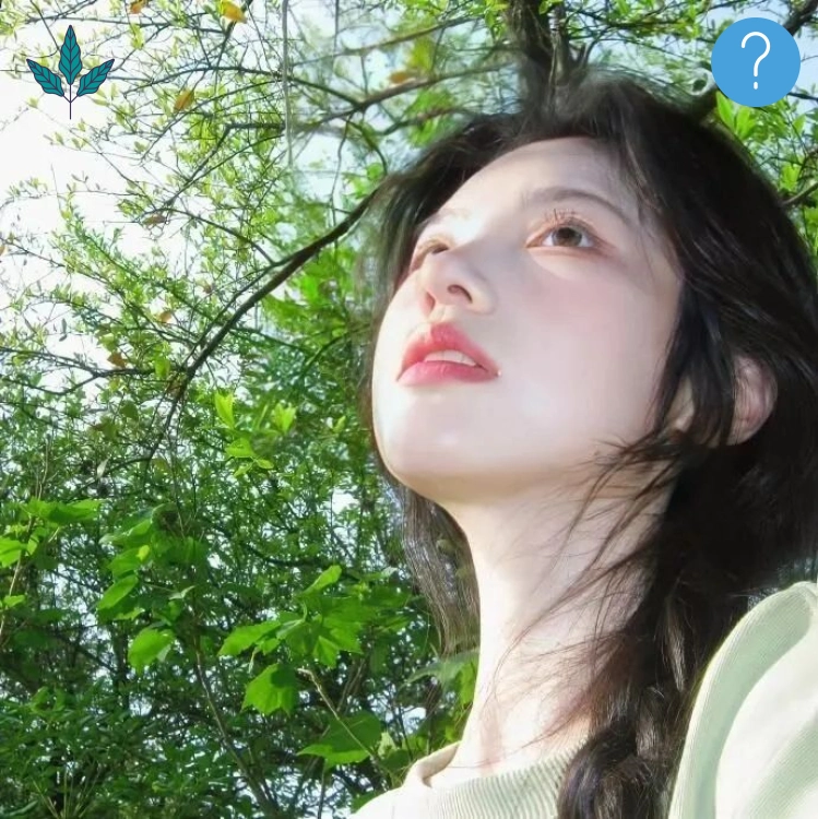 沈洁女士